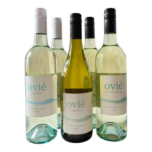 OVIÉ Coastal Entertainer 12 bottle wine case with Chardonnay Shiraz Rosé Pinot Gris and Sauvignon Blanc on clean background.